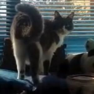 Meet your Posher, Alejandra